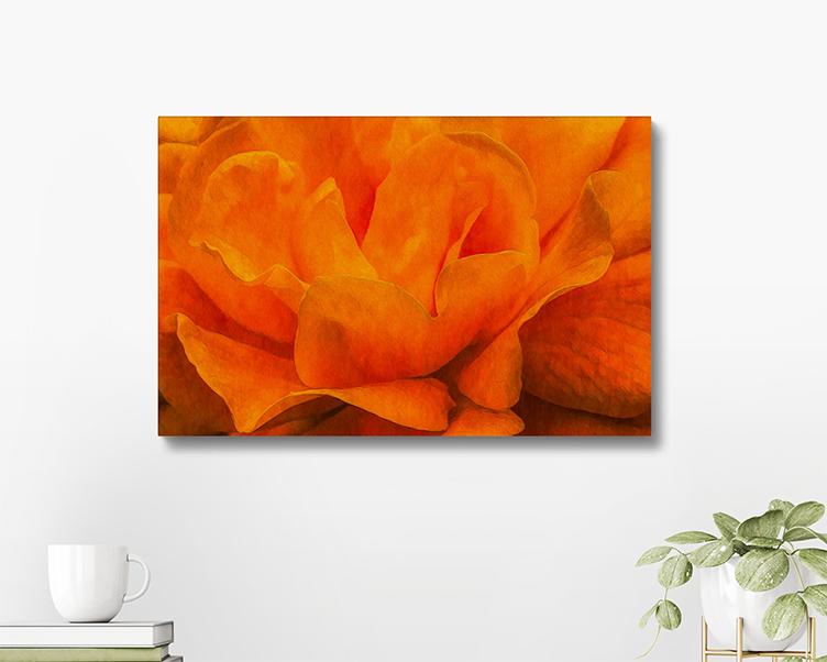 Canvas Orange Rose Photography