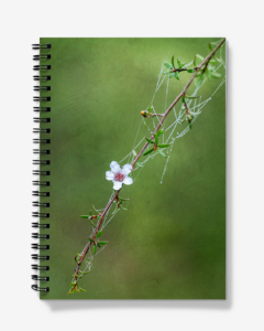 Notebook Solo Manuka Flower Photography