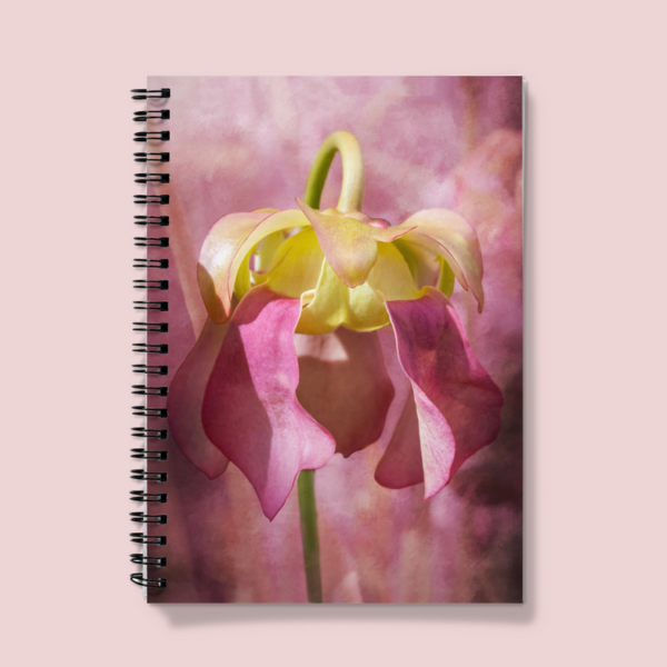 Notebook Dressed in Pink Photograph