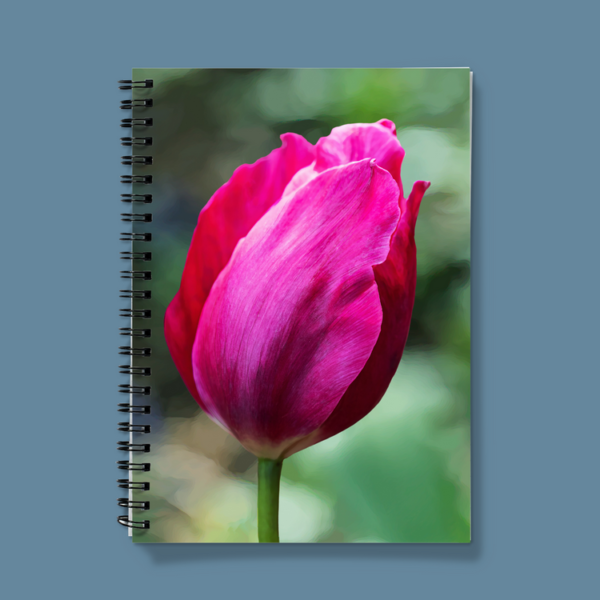 Notebook Painted Tulip Photograph