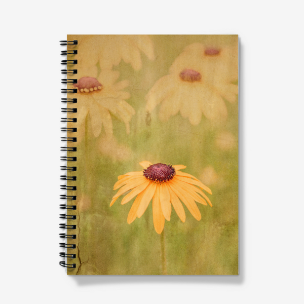 Notebook Daisies Flower Photography