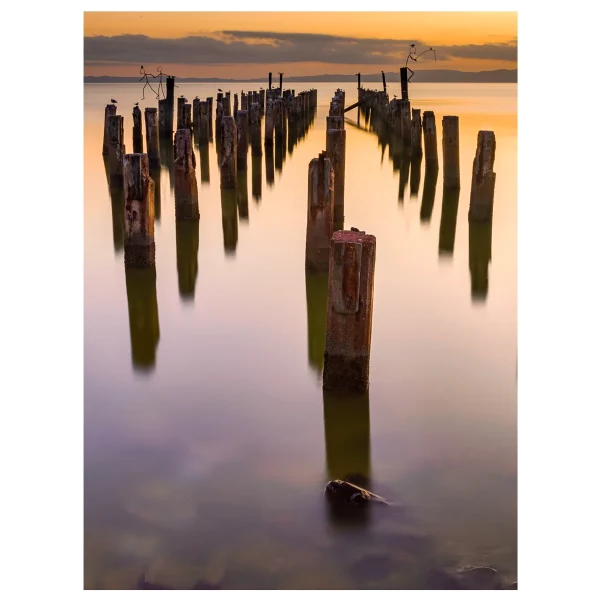 Burke Street Wharf in Thames at sunset, with only the pillars remaining and smooth water from long exposure.