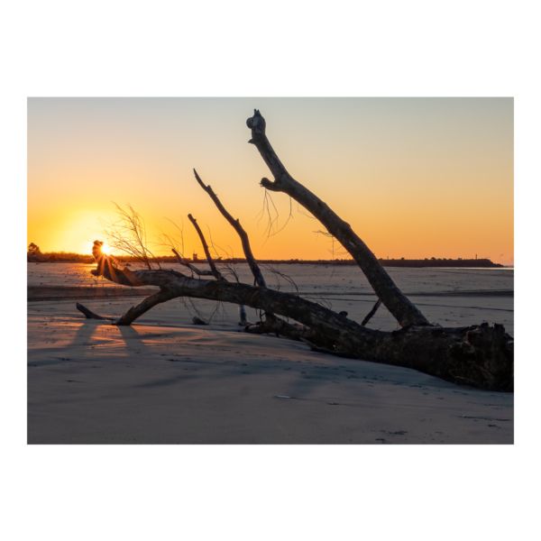 Sunset on the West Coast - Jacqui Stokes Photography