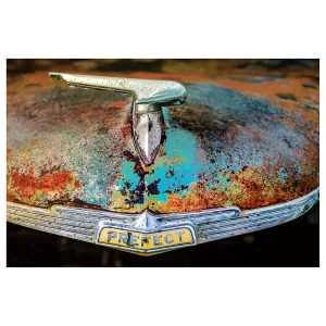 Close-up of an old rusty Ford Prefect bonnet, showing the ornament, badge, and worn chrome detailing