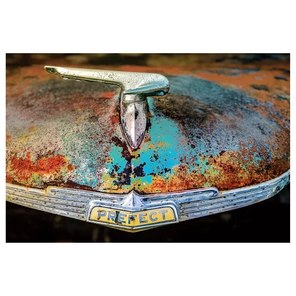 Close-up of an old rusty Ford Prefect bonnet, showing the ornament, badge, and worn chrome detailing