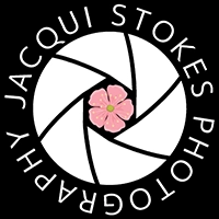 Jacqui Stokes New Zealand Nature Photographer