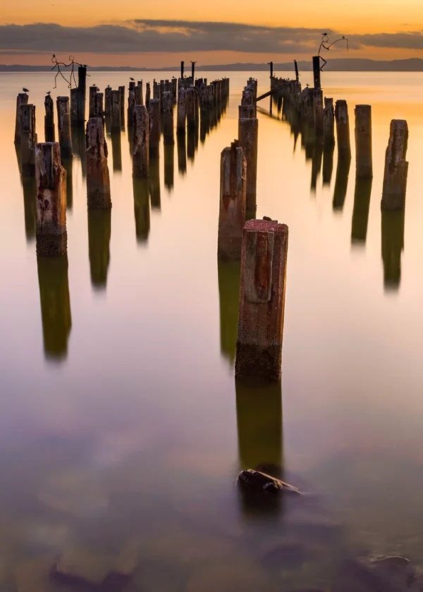 Burke Street Wharf – Historic Thames Wharf Pilings and Wire Sculptures at Sunset