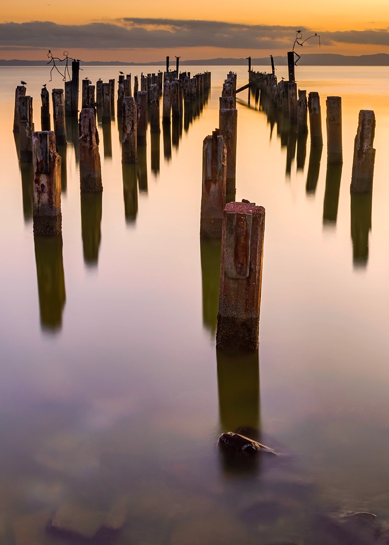 Burke Street Wharf – Historic Thames Wharf Pilings and Wire Sculptures at Sunset