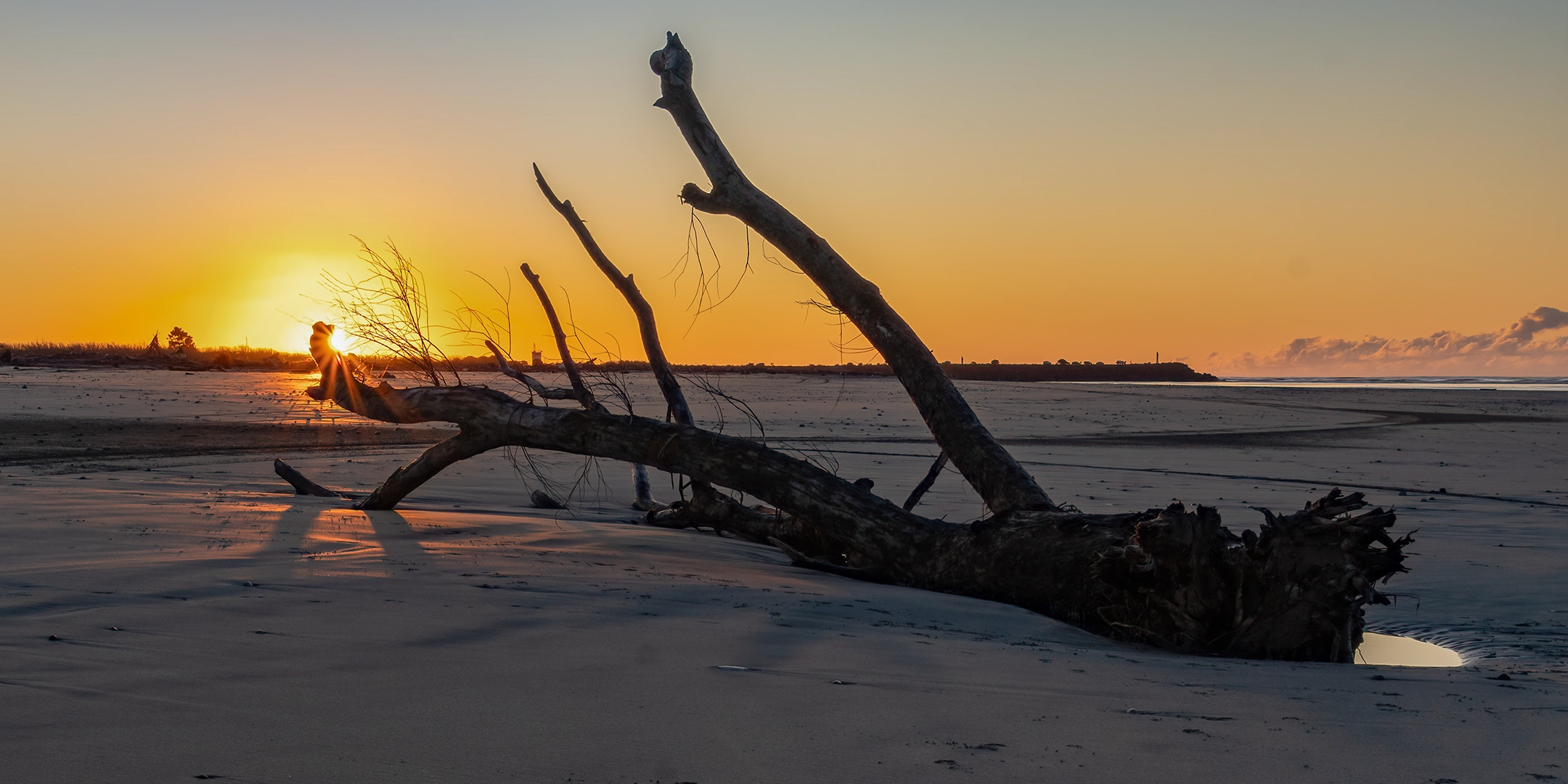 Sunset in Westport – Sunlight Through Washed-Up Tree on Kawatiri Beach