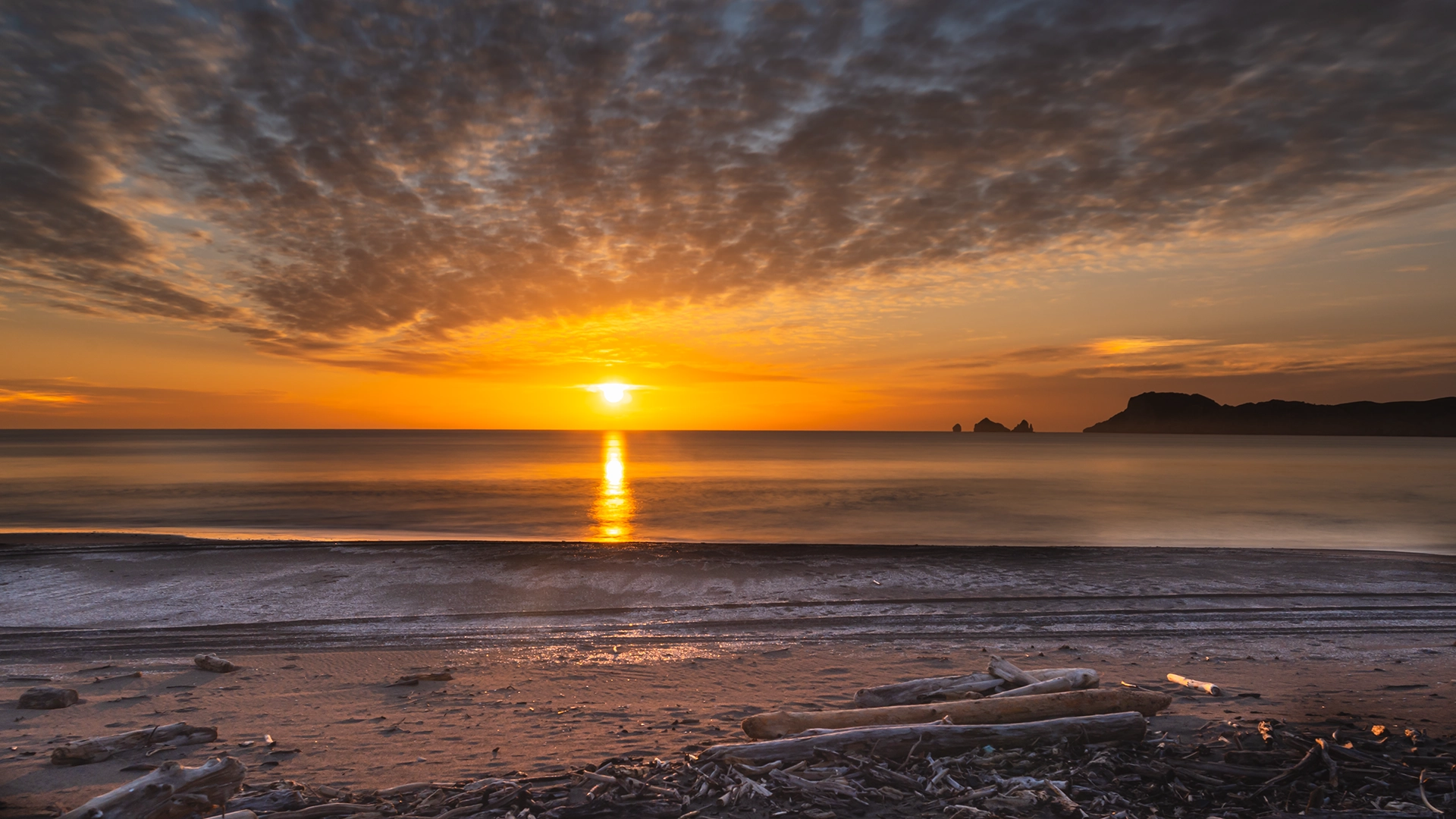 Tolaga Bay Sunrise – Long Exposure of Driftwood, Foreshore, and Smooth Sea at Sunrise