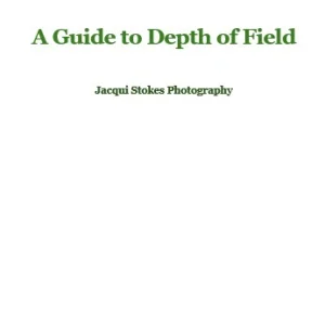 A Guide to Depth of Field